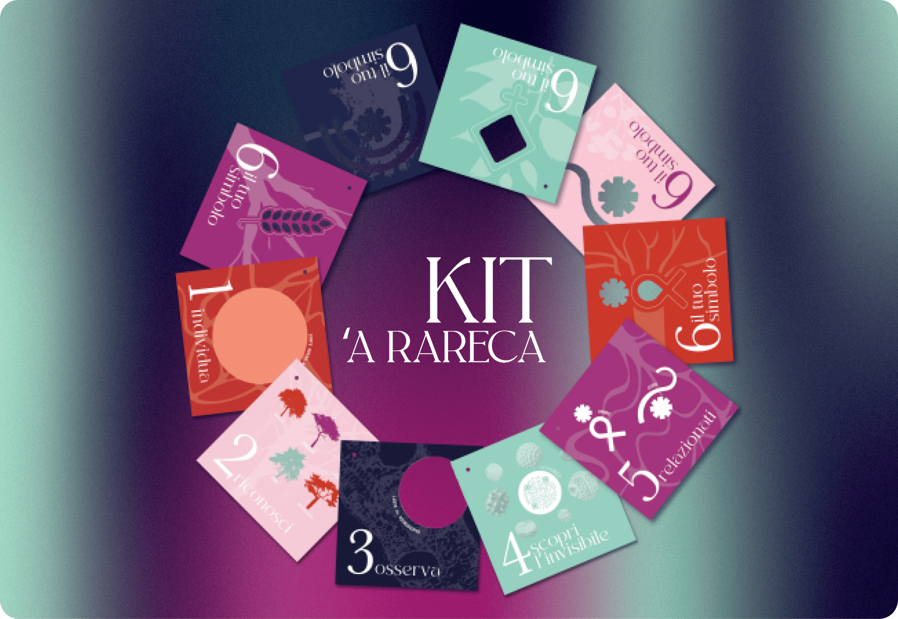 Immagine 1 del progetto A Rareca Kit