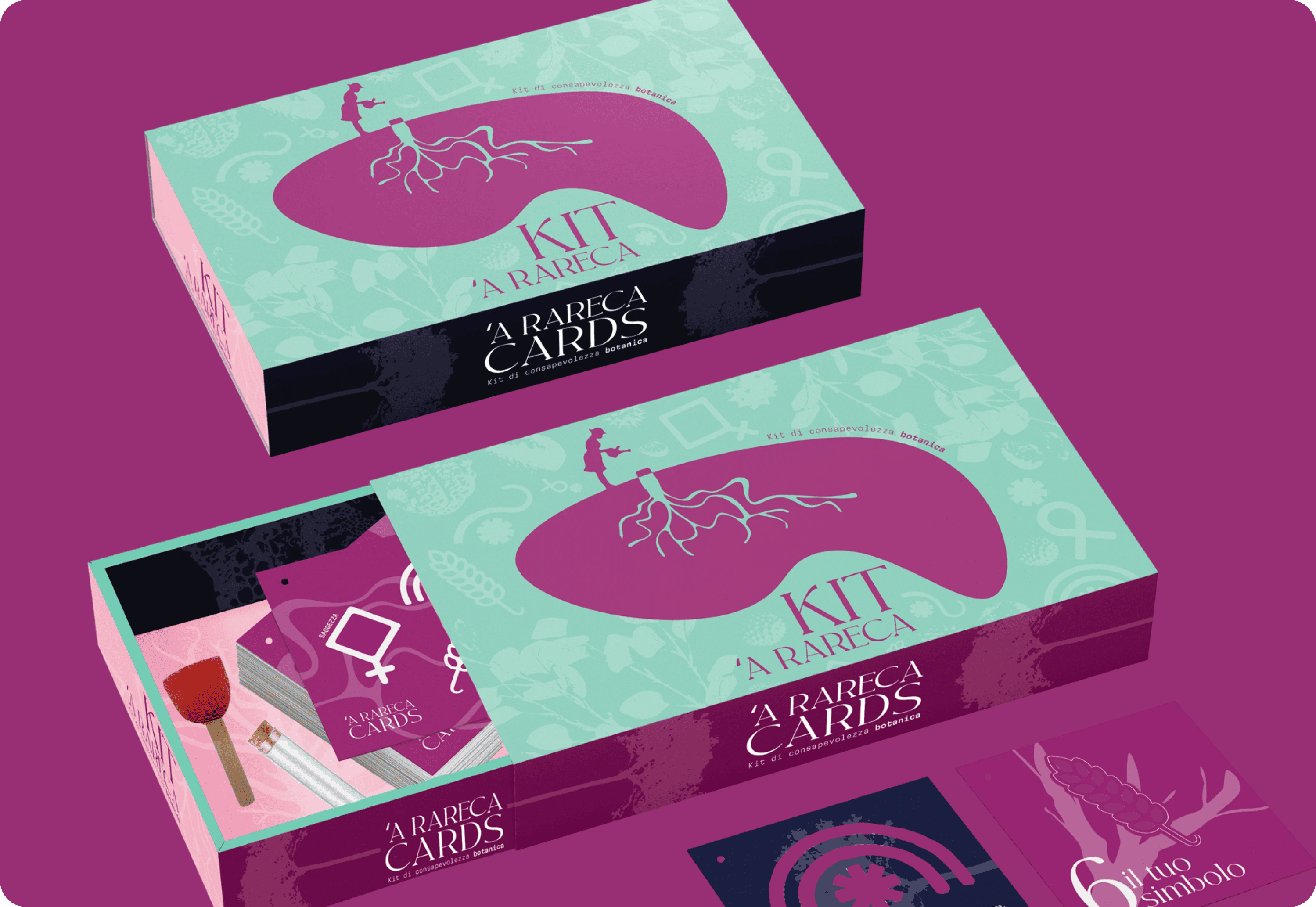 Immagine 5 del progetto A Rareca Kit