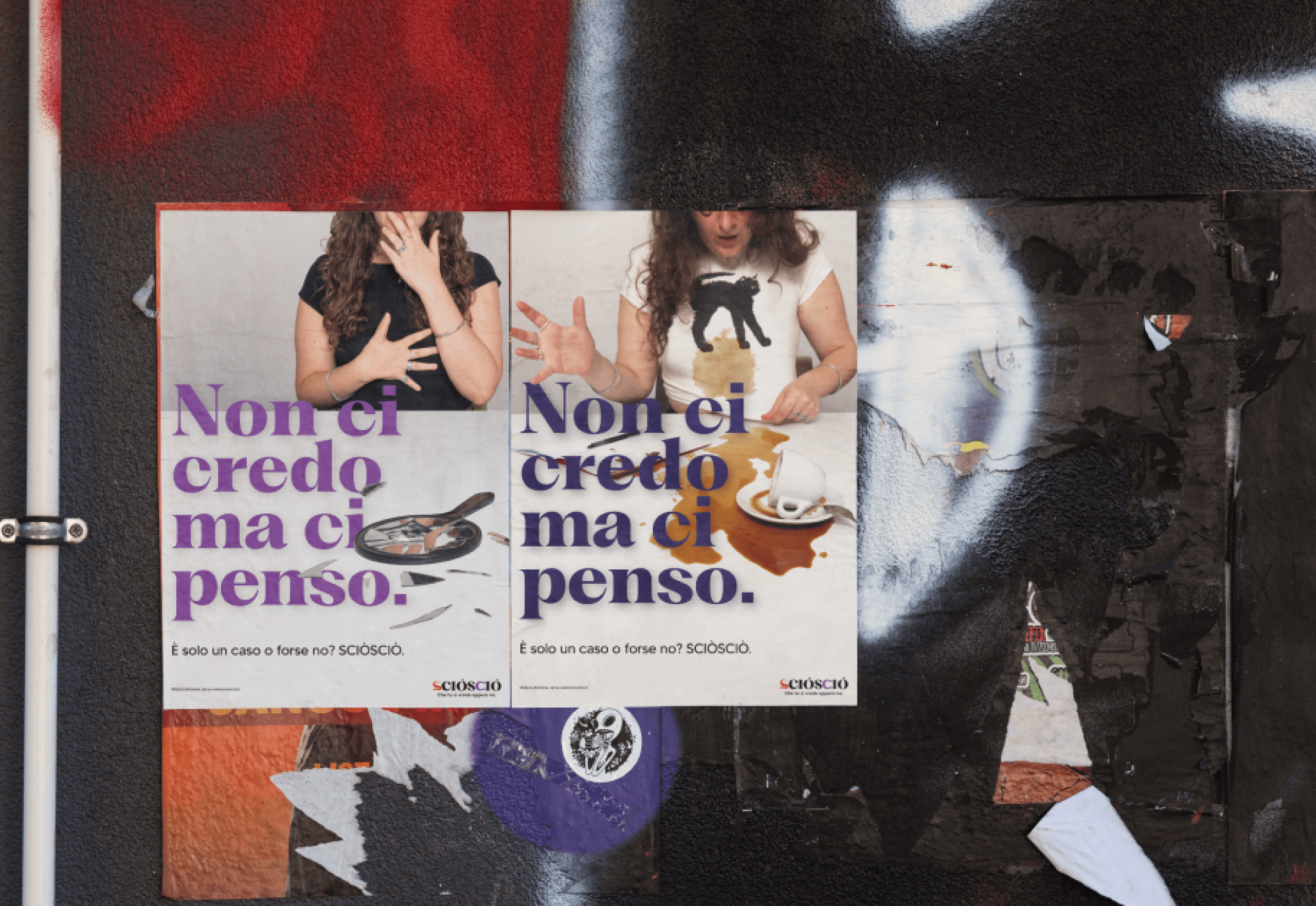 Immagine 12 del progetto Sciò Sciò